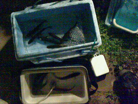 良心的な釣り場で　毎年行きます～